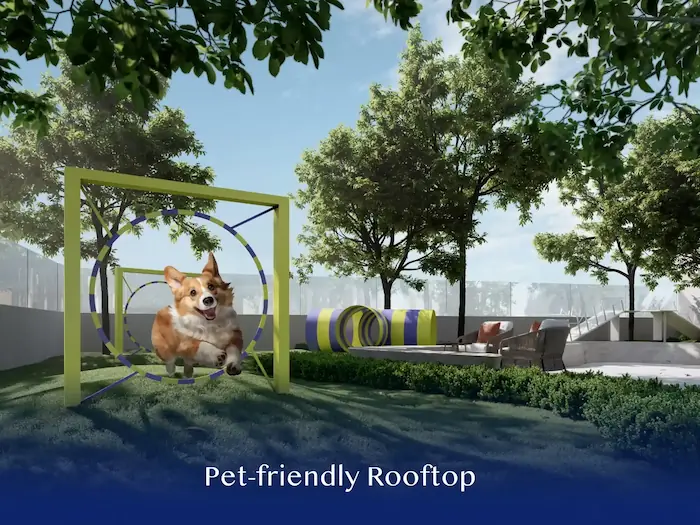Pet Friendly
